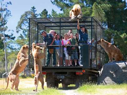  Foto: oranawildlifepark.co.nz
