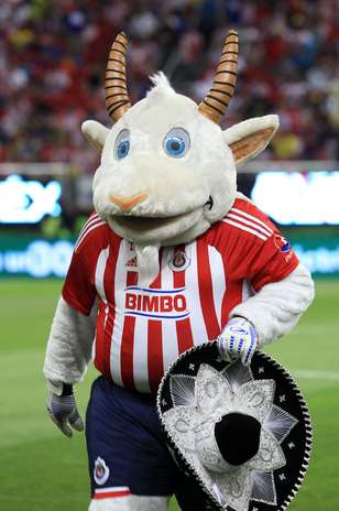 Beauty and color: What you did not see in Chivas vs. América