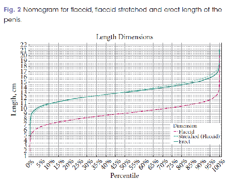 Grafica para ubicar el largo del pene. Foto: King's College London Medical School